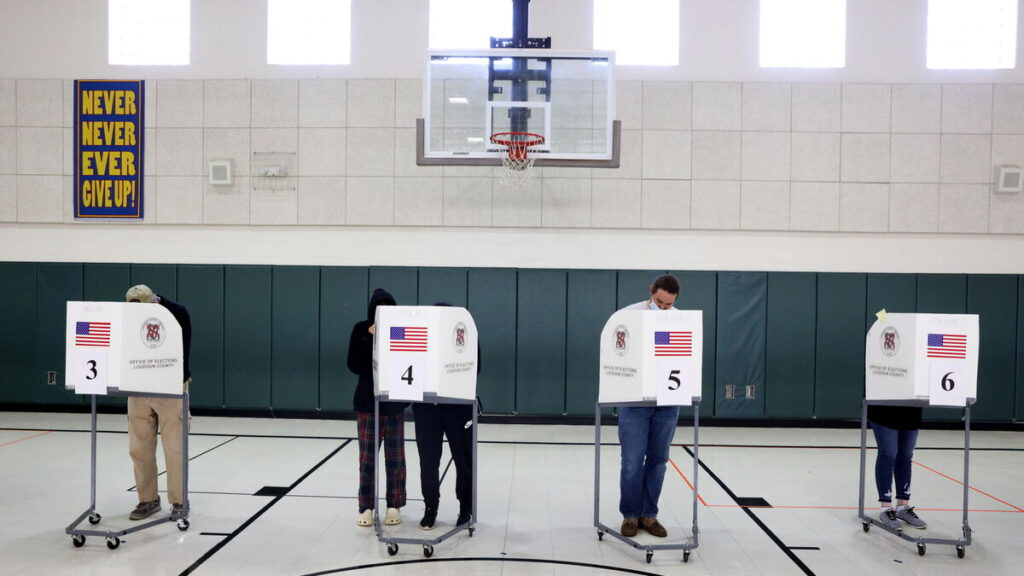 La odisea de votar en EEUU 10 La odisea de votar en EEUU 10 - Charo Toscano